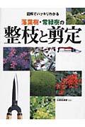 落葉樹・常緑樹の整枝と剪定