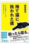 捨て猫に拾われた僕