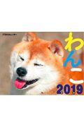 �i�s�a�̃J�����_�[��񂱁@�Q�O�P�X