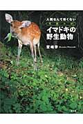 イマドキの野生動物 / 人間なんて怖くない