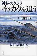 神秘のクジライッカクを追う