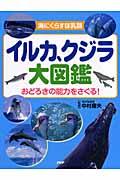 イルカ、クジラ大図鑑