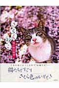 さくらねこ / 猫と桜の物語