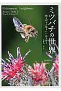 ミツバチの世界