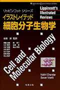 イラストレイテッド細胞分子生物学