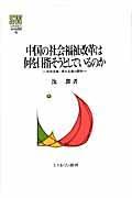 中国の社会福祉改革は何を目指そうとしているのか