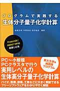 プログラムで実践する生体分子量子化学計算 / Protein DF/ABINITーMPの基礎と応用