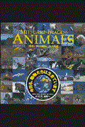 Mitsuaki Iwago’s animals / 地球の野生動物