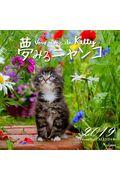 ���݂�j�����R�J�����_�[�@�Q�O�P�X