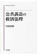 公共訴訟の救済法理