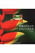 世界のキレイでかわいいカエル / Frogs