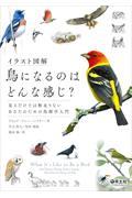 イラスト図解鳥になるのはどんな感じ? / 見るだけでは物足りないあなたのための鳥類学入門