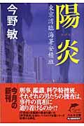 陽炎 / 東京湾臨海署安積班