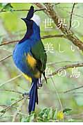 世界の美しい色の鳥