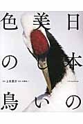 日本の美しい色の鳥