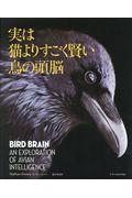 実は猫よりすごく賢い鳥の頭脳