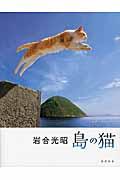 島の猫