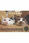 シンクロ姉妹猫うちのとらまる / Synchronyaized.