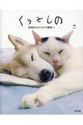 くぅとしの / 認知症の犬と介護猫くぅ