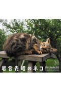 ミニカレンダー岩合光昭のネコ