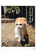 うちのまる / 養老孟司先生と猫の営業部長