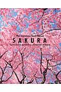 Sakura / the Japanese soul flower