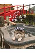 びばのん♪ふくたんの成長日記 / フロ猫・ふくたん本日もまったり成長中