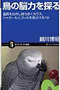 鳥の脳力を探る / 道具を自作し持ち歩くカラス、シャガールとゴッホを見分けるハト