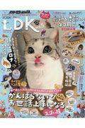 ネコDK vol.5