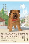 神様のおつかい犬純平