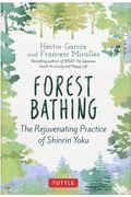 Forest Bathing / The Rejuvenating Practice of Shinrin Yoku