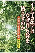 イタヤカエデはなぜ自ら幹を枯らすのか / 樹木の個性と生き残り戦略