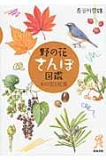 野の花さんぽ図鑑 木の実と紅葉