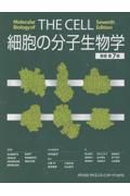 タイトルイメージ
