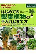 はじめての観葉植物の手入れと育て方