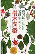 葉っぱで見わけ五感で楽しむ樹木図鑑