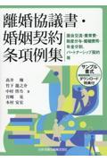 離婚協議書・婚姻契約条項例集 / 面会交流・養育費・財産分与・婚姻費用・年金分割、パートナーシップ契約等(サンプル書式ダウンロード特典付)