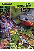 日本の爬虫両生類１５７