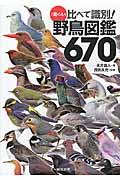 ♪鳥くんの比べて識別！野鳥図鑑６７０