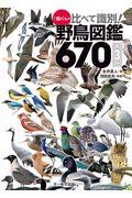 ♪鳥くんの比べて識別!野鳥図鑑670 第3版