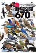 ♪鳥くんの比べて識別！野鳥図鑑６７０