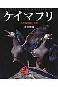 ケイマフリ / 天売島の紅い妖精