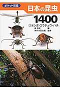 日本の昆虫1400 2 / ポケット図鑑