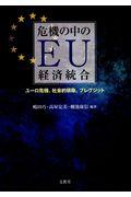 危機の中のＥＵ経済統合