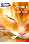 コニャンコPHOTO BOOK