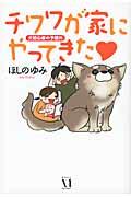 チワワが家にやってきた / 犬初心者の予想外