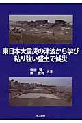 東日本大震災の津波から学び粘り強い盛土で減災