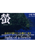 螢 / Light of a firefly