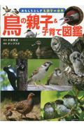 鳥の親子＆子育て図鑑