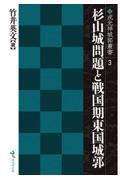 杉山城問題と戦国期東国城郭